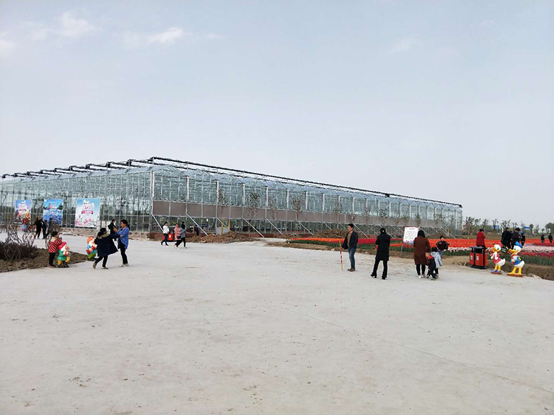 無土栽培，無土栽培技術，無土栽培設備
